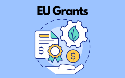 EU Grants – How to Find Funding for Business Development in Poland?